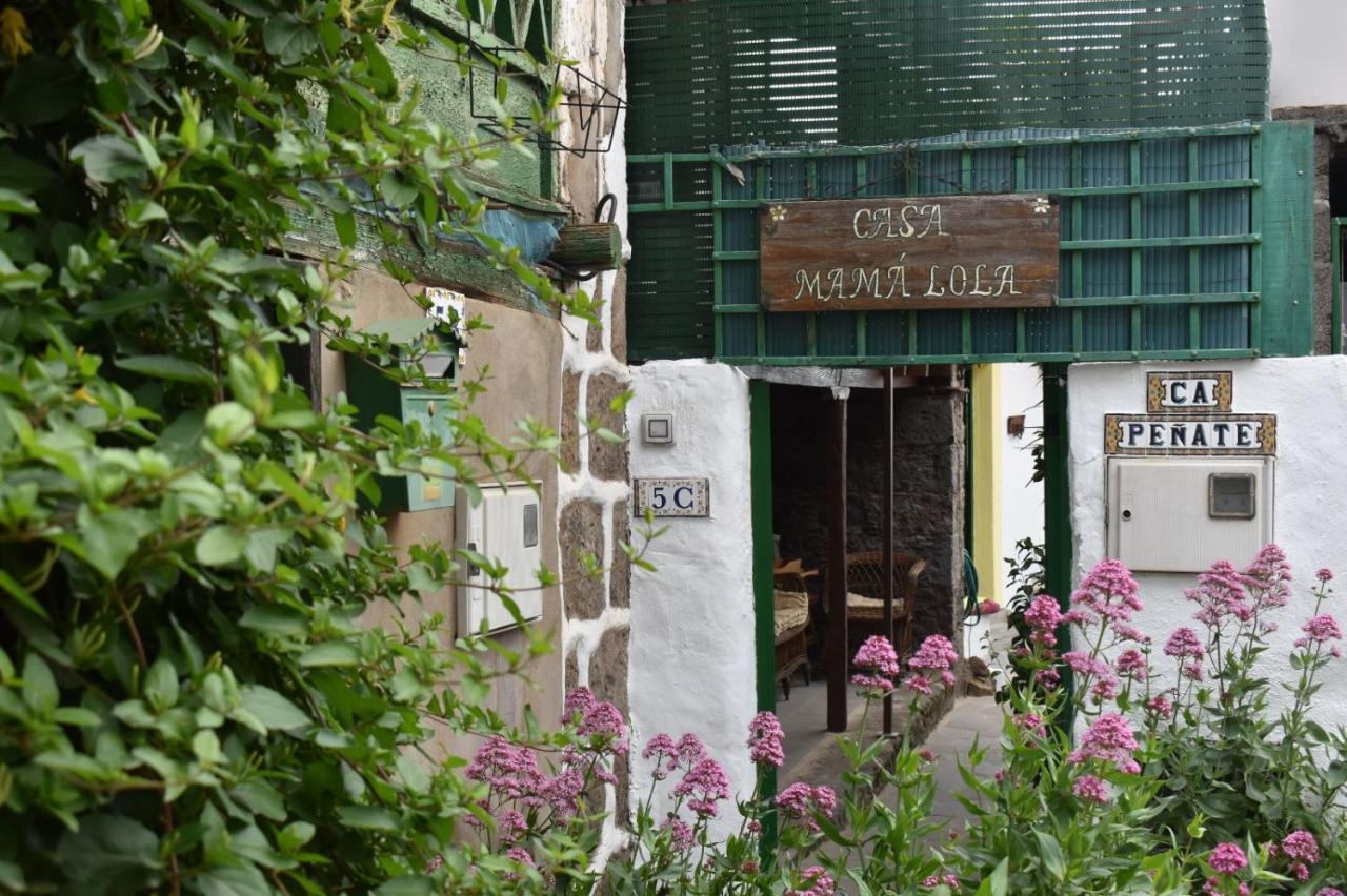 Tenteniguada Casa Mama Lola-Ca'Penateヴィラ エクステリア 写真